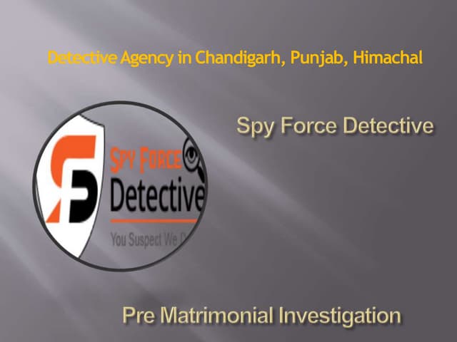 Private Detective Agency in Punjab |Detective agencies in Chandigarh