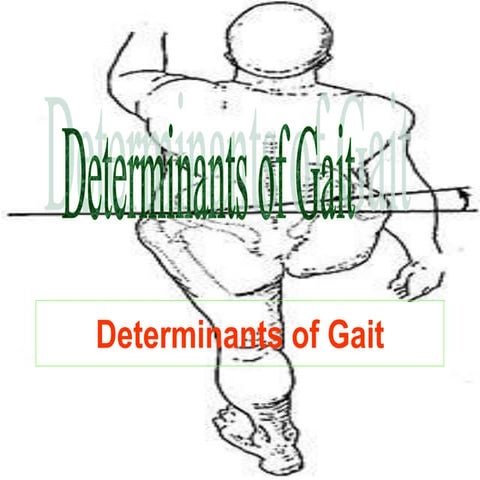 DETERMENENT OF GAIT-2.PPT