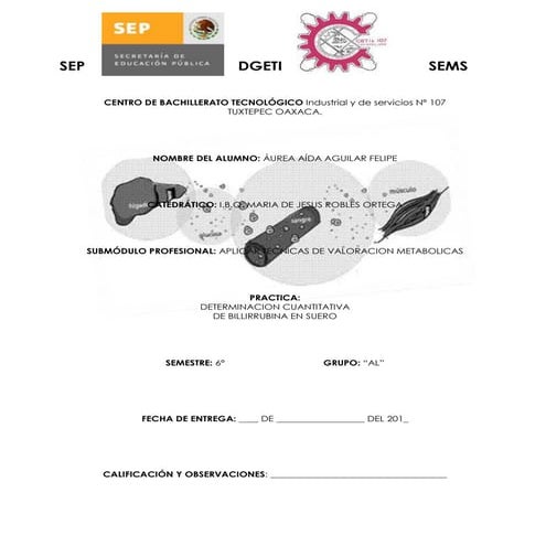 Determinación de bilirrubina en Sangre