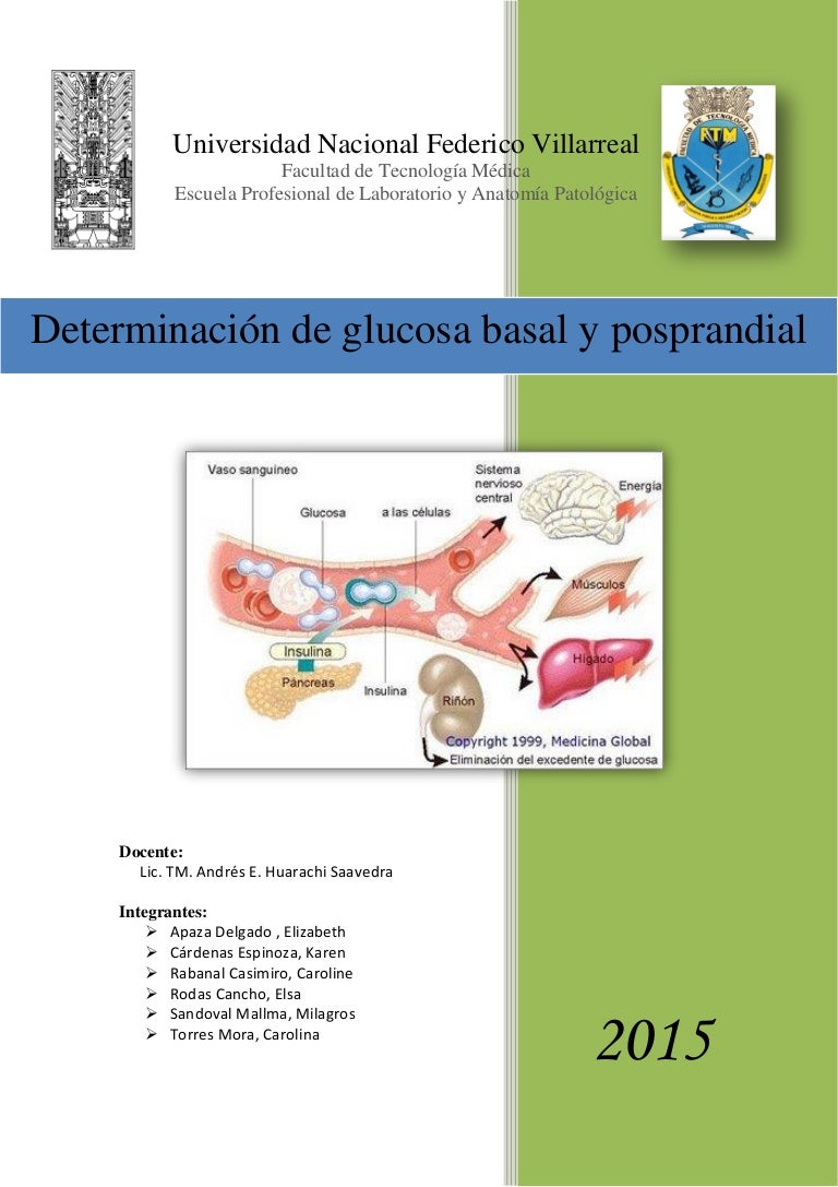 que significa insulina plasmatica basal