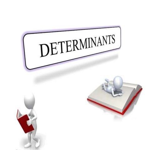 Determinant