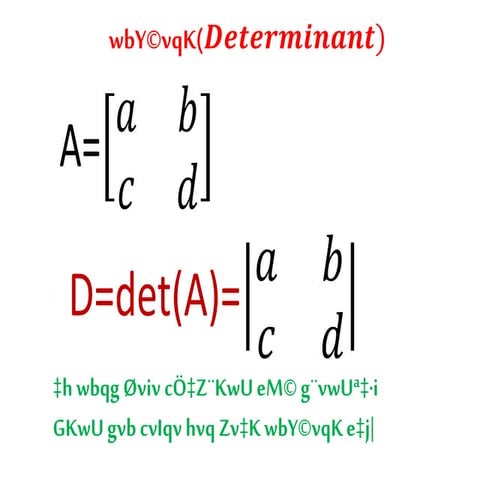 Determinants in Bangla