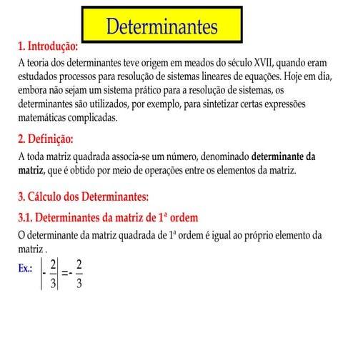 Comprehensive Study of Determinants: Definitions, Properties, and ...