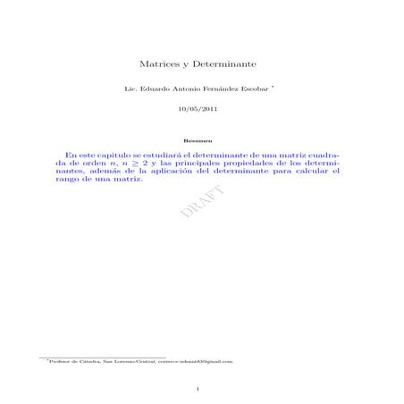 Determinante sede villarrica 2011