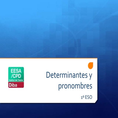 Determinantes y pronombres