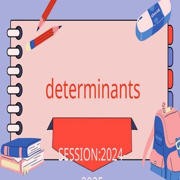 DETERMINANTS (2024-2025) CLASS 12TH  PPT