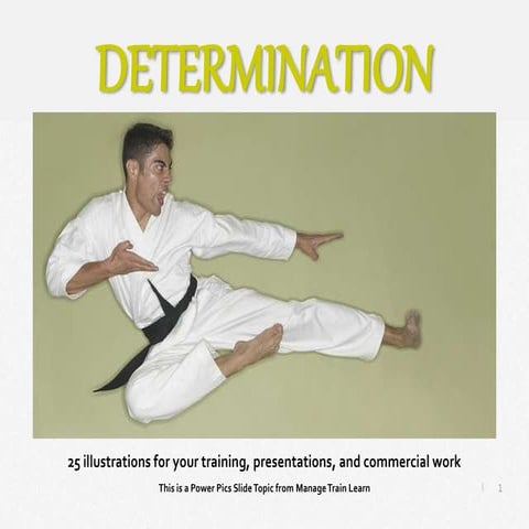 Determination | PPT