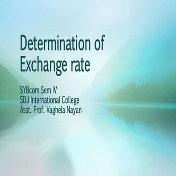 Determination of exchange rate chapter 6