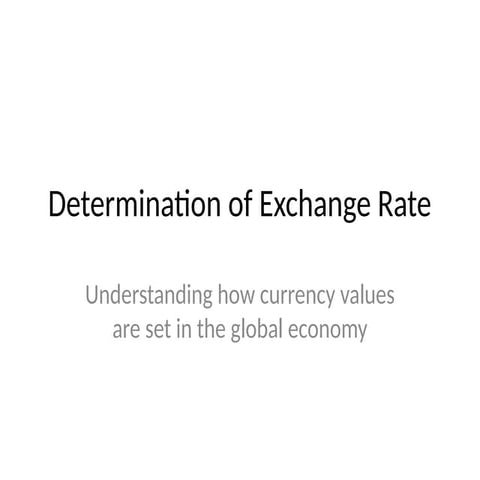 Determination_of_Exchange_Rate_Presentation.pptx
