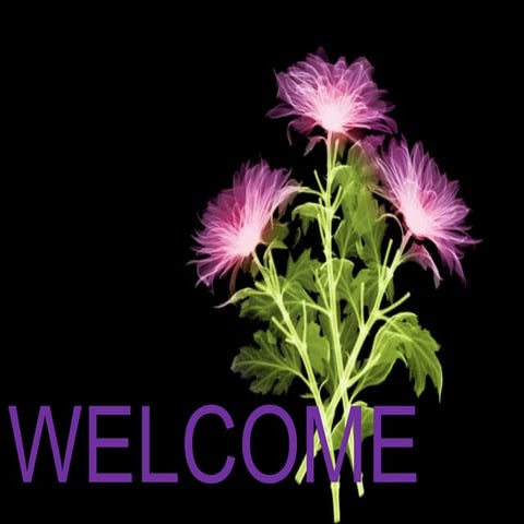 Determination of reaction mechanisms