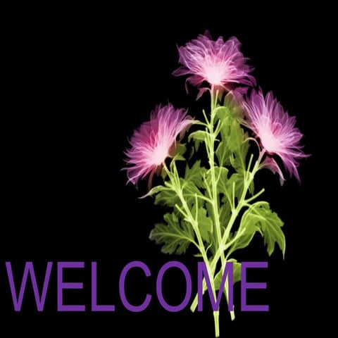 determinationofreactionmechanisms-150124014204-conversion-gate01 (1).ppt