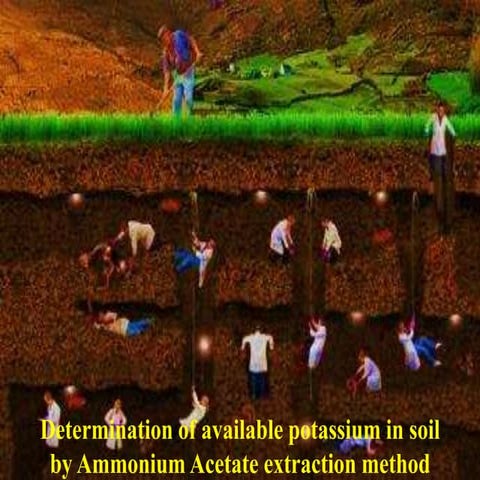 Determination potassium by_ammonium_acetate_extraction_method_zahid_sau_sylhet
