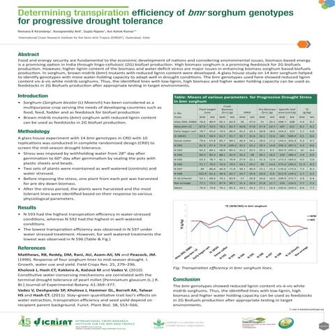 Determining transpiration efficiency of bmr sorghum genotypes for progressive...