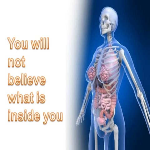 Detox, immunity, health, energy, vitality