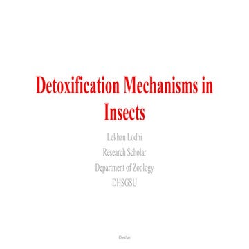 Detoxification mechanisms in Insects