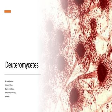 Deuteromycetes general charcters and life cycle