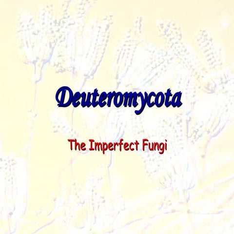 Deuteromycota