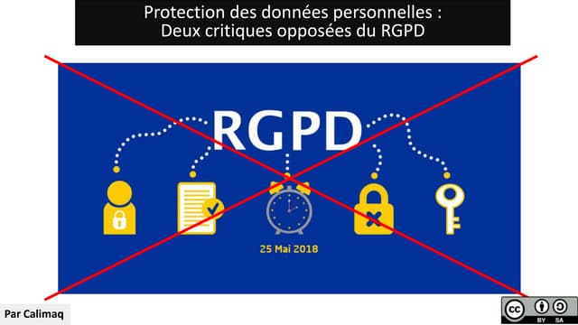 Protection des données personnelles : deux critiques du RGPD 