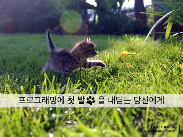 강의소개 - 왕초보의 프로그래밍 첫걸음 캠프