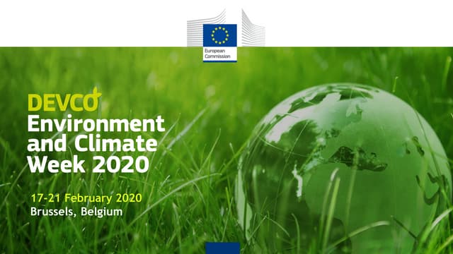 Technical Assistance in support ofthe external dimension of the European Gree...