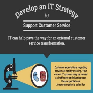 Develop an IT Strategy to Support C...