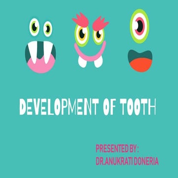 Development of tooth