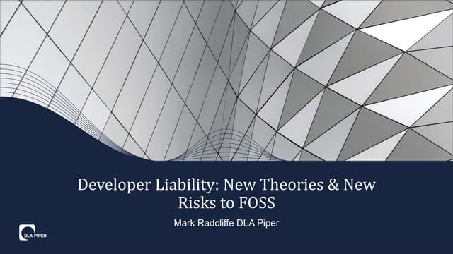 Emerging Theories for Software Developer Liability in FOSS and Blockchain