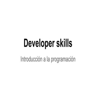 Developer skills