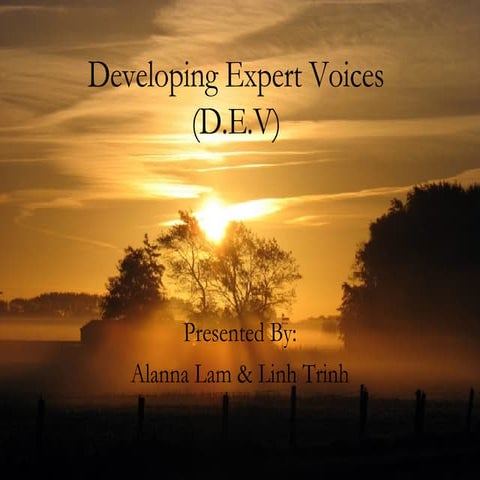 Developing Expert Voices