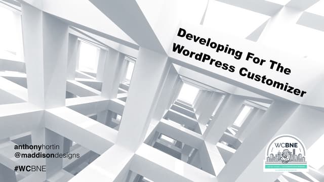 Developing for the WordPress Customizer