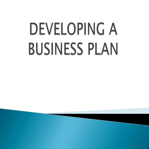 Developing a Business Plan