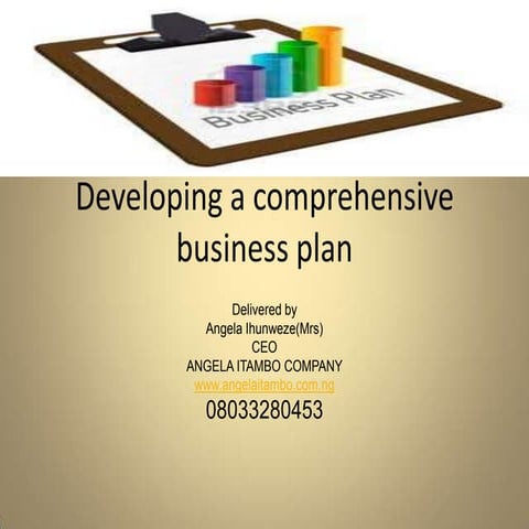 Developing a comprehensive business plan