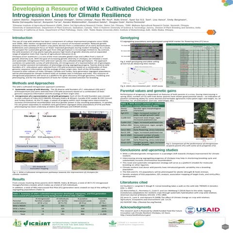 Developing a Resource of Wild x Cultivated Chickpea Introgression Lines for C...