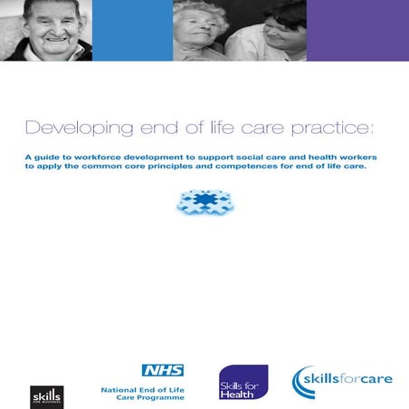 Developing end of life care practice | PDF