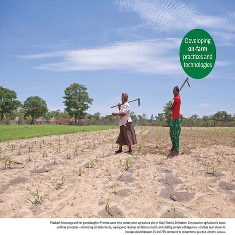 Developing on-farm practices and technologies