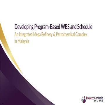 Developing Program-Based WBS and Schedule in project management | PDF