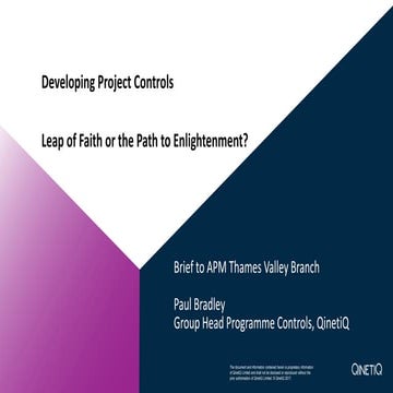 Developing project controls  - Leap of faith or the path to enlightenment
