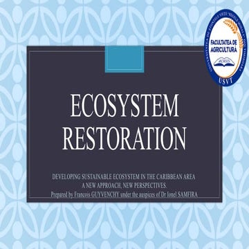 DEVELOPING SUSTAINABLE ECOSYSTEM IN THE CARIBBEAN AREA.pptx