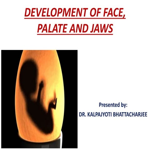 Development of face, palate and jaw