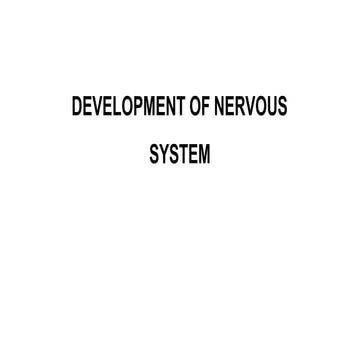 DEVELOPMENT-OF-NERVOUS-SYSTEM.pptx v.    .