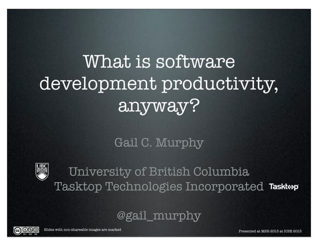 What is Software Development Productivity Anyway?