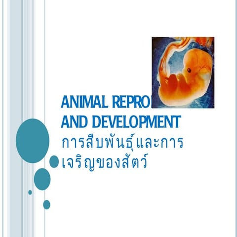 Developmental biology sp2 | PPT