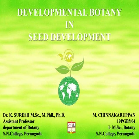 seed develop ment
