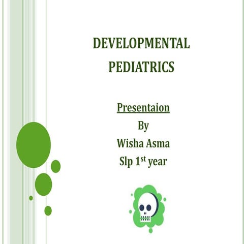 anatomy of human skull