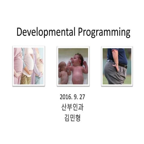 (마더리스크라운드) Developmental programming | PPT