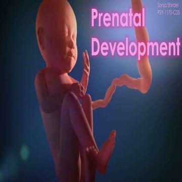 Prenatal Stages Of Development Life Pptx
