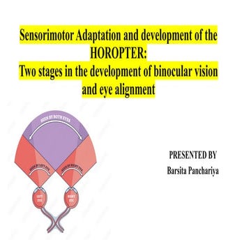 Developmental stage of Binocular vision.pptx