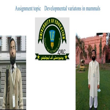 Developmental variatons in mammals