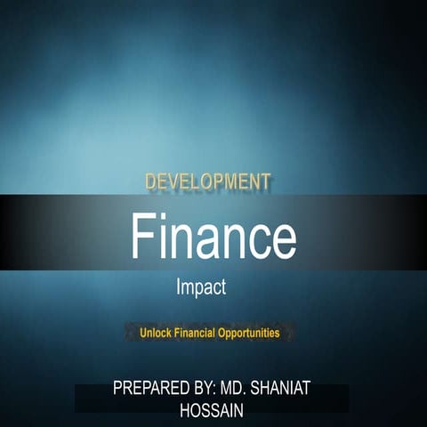 Development finance impact project
