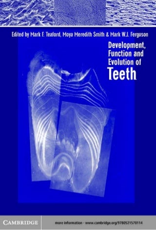 Teeth Whitening Pen - An Informative Note